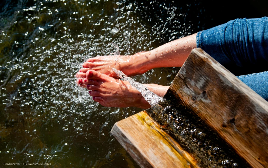 Wisent-Pfad - Tretbecken