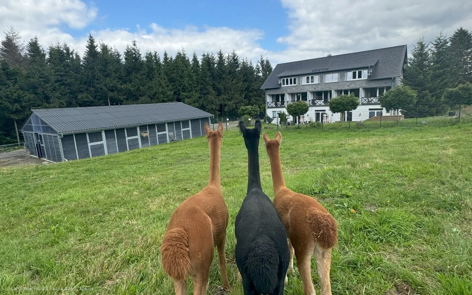 Landhotel Flora & Fauna