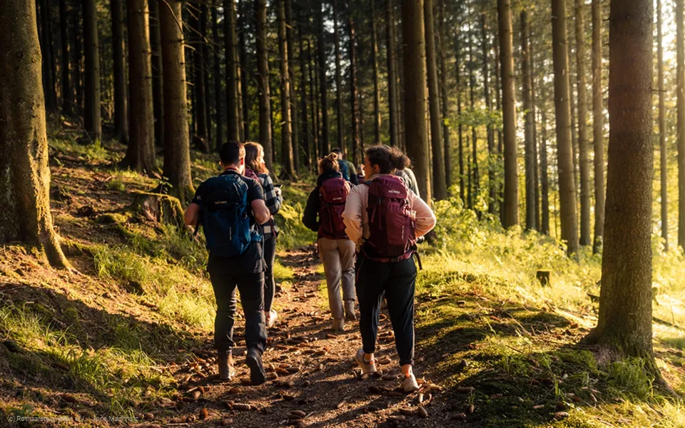 Wandergruppe auf dem Rothaarsteig im Wald im Abendlicht