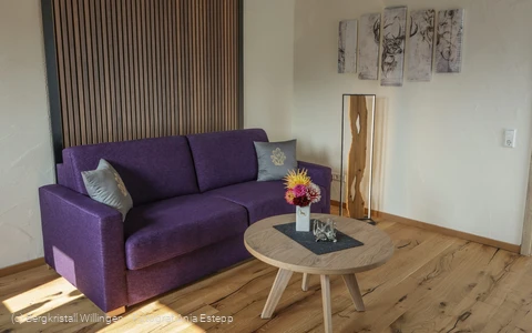 Bergluft - Bergkristall Willingen, Wohnzimmer Ferienwohnung am Rothaarsteig