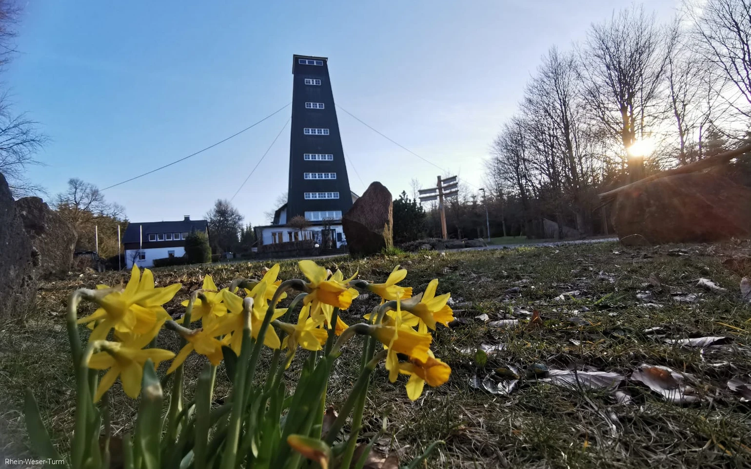 Außenansicht Rhein-Weser-Turm mit Narzissen im Vordergrund