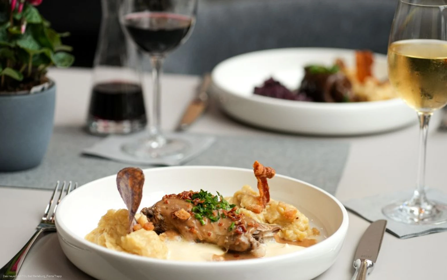 Tellergericht auf gedecktem Tisch im Restaurant