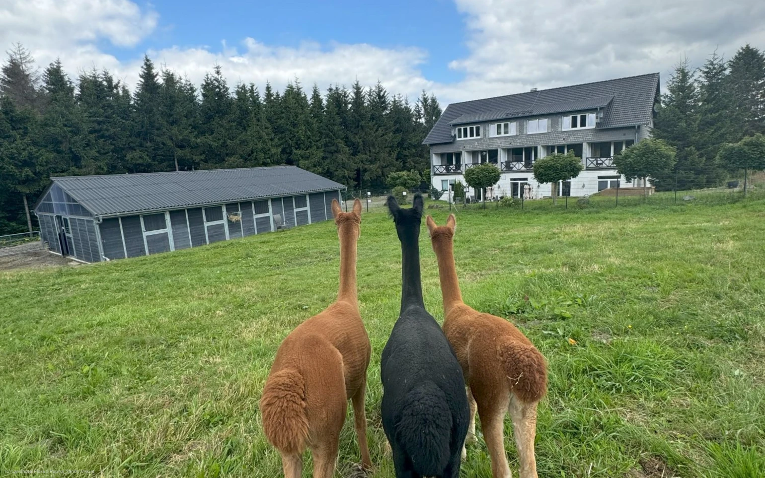 Landhotel Flora & Fauna