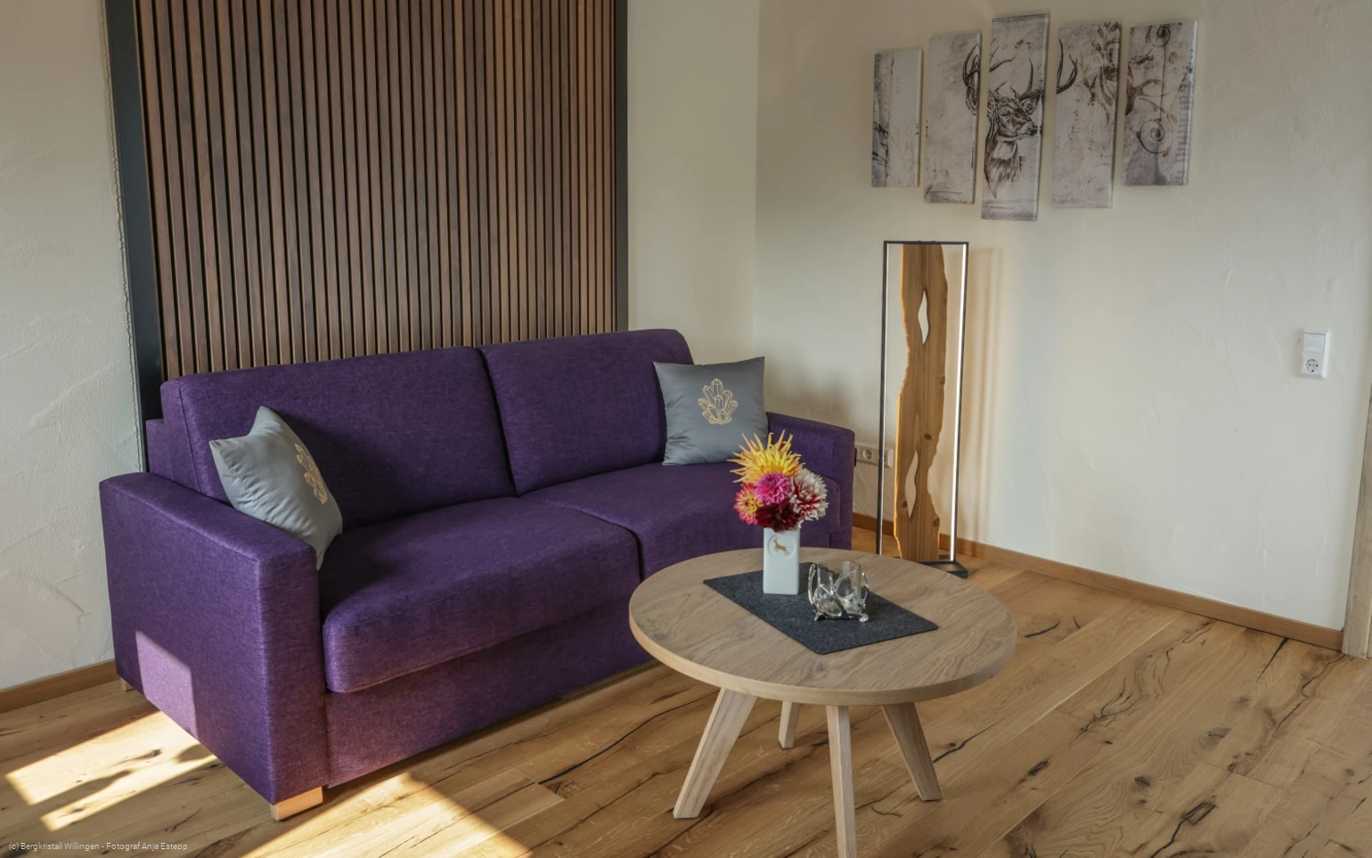 Bergluft - Bergkristall Willingen, Wohnzimmer Ferienwohnung am Rothaarsteig