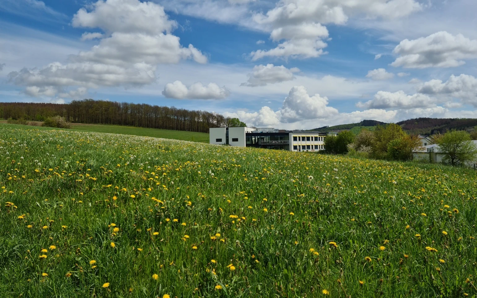Hotel Fünf10 (c) AWO Inklusionsbetrieb, Fotograf Christopher Appel  .jpg
