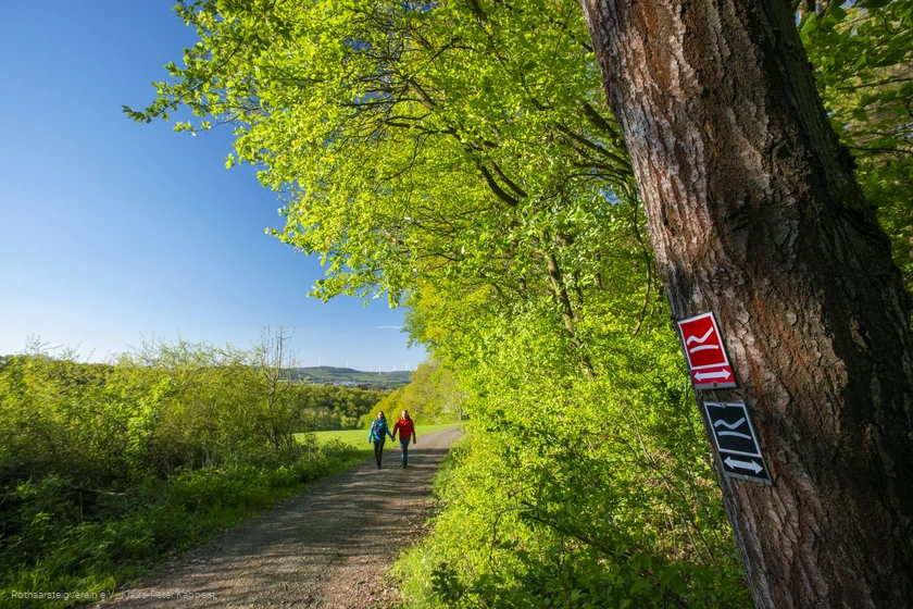 Wandernde auf einer Rothaarsteig-Spur