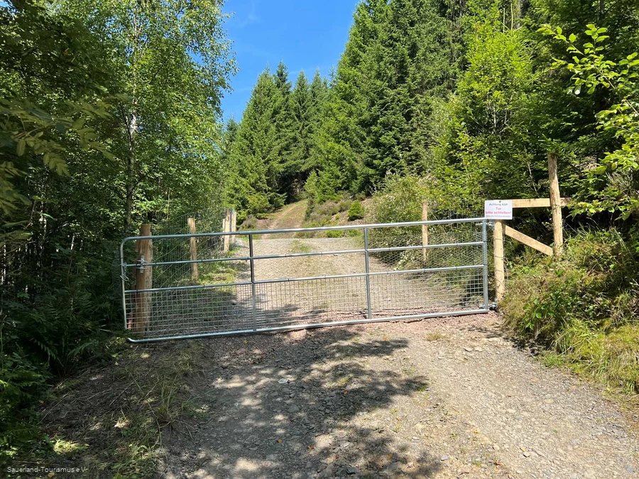 Zaun am Rothaarsteig zur Bekämpfung der Afrikanischen Schweinepest