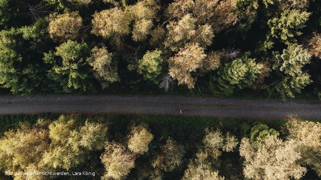 Rothaarsteig nahe der Tiefenrother Höhe