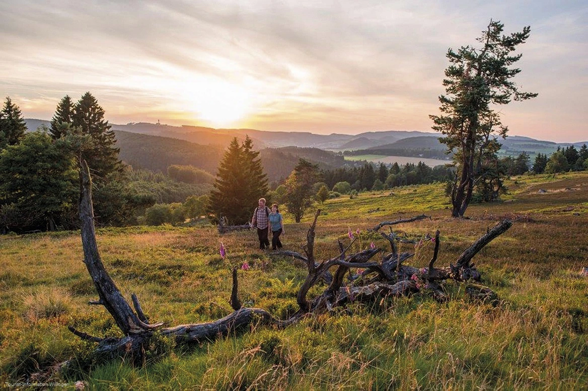 Zwei Wanderer in der Heide bei Willingen