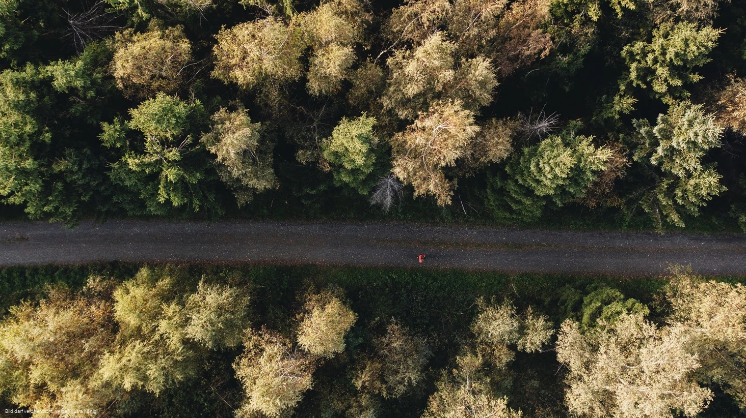 Rothaarsteig nahe der Tiefenrother Höhe