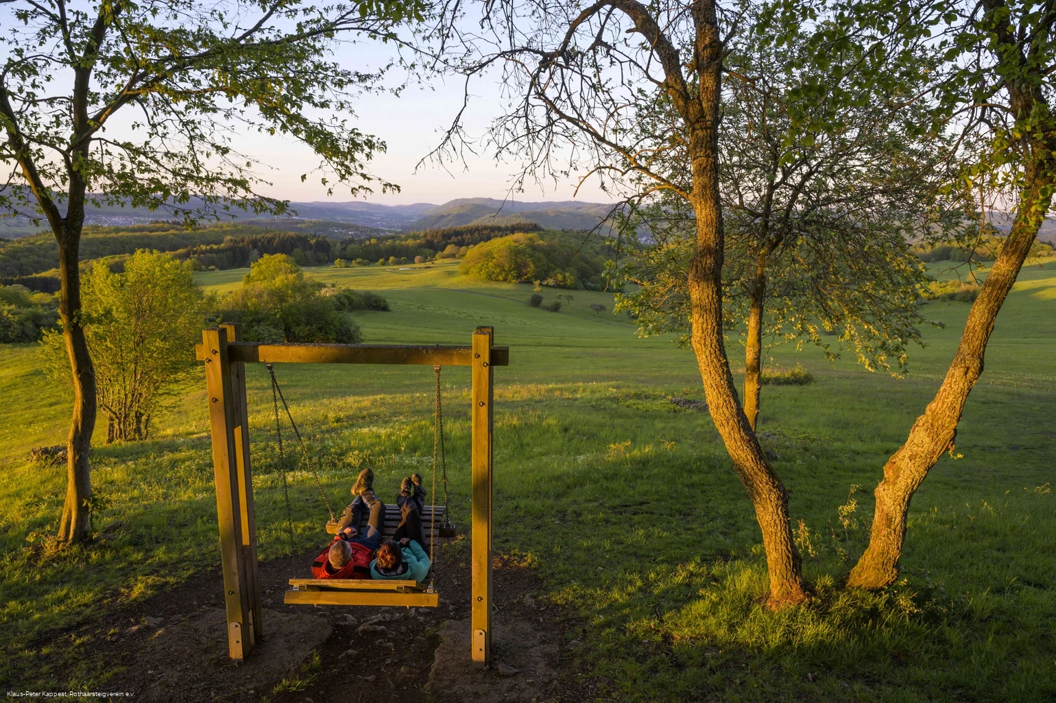 Waldschaukel auf dem Kornberg