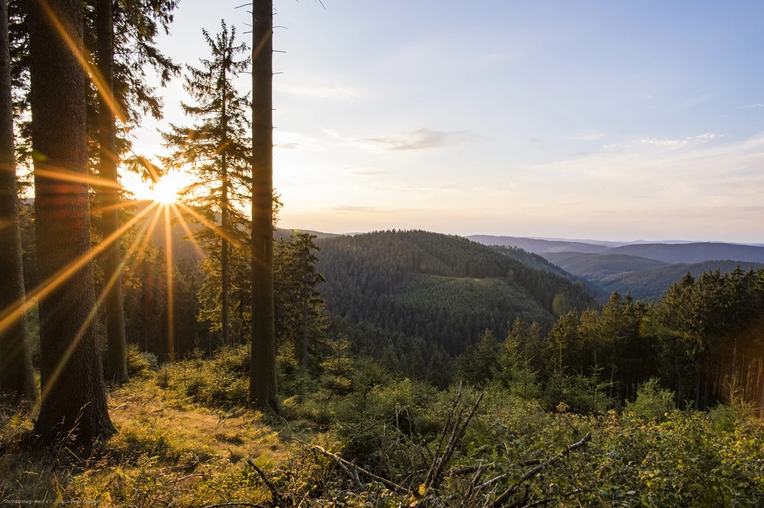 Aussicht vom Grenzweg bei Jagdhaus am Rothaarsteig