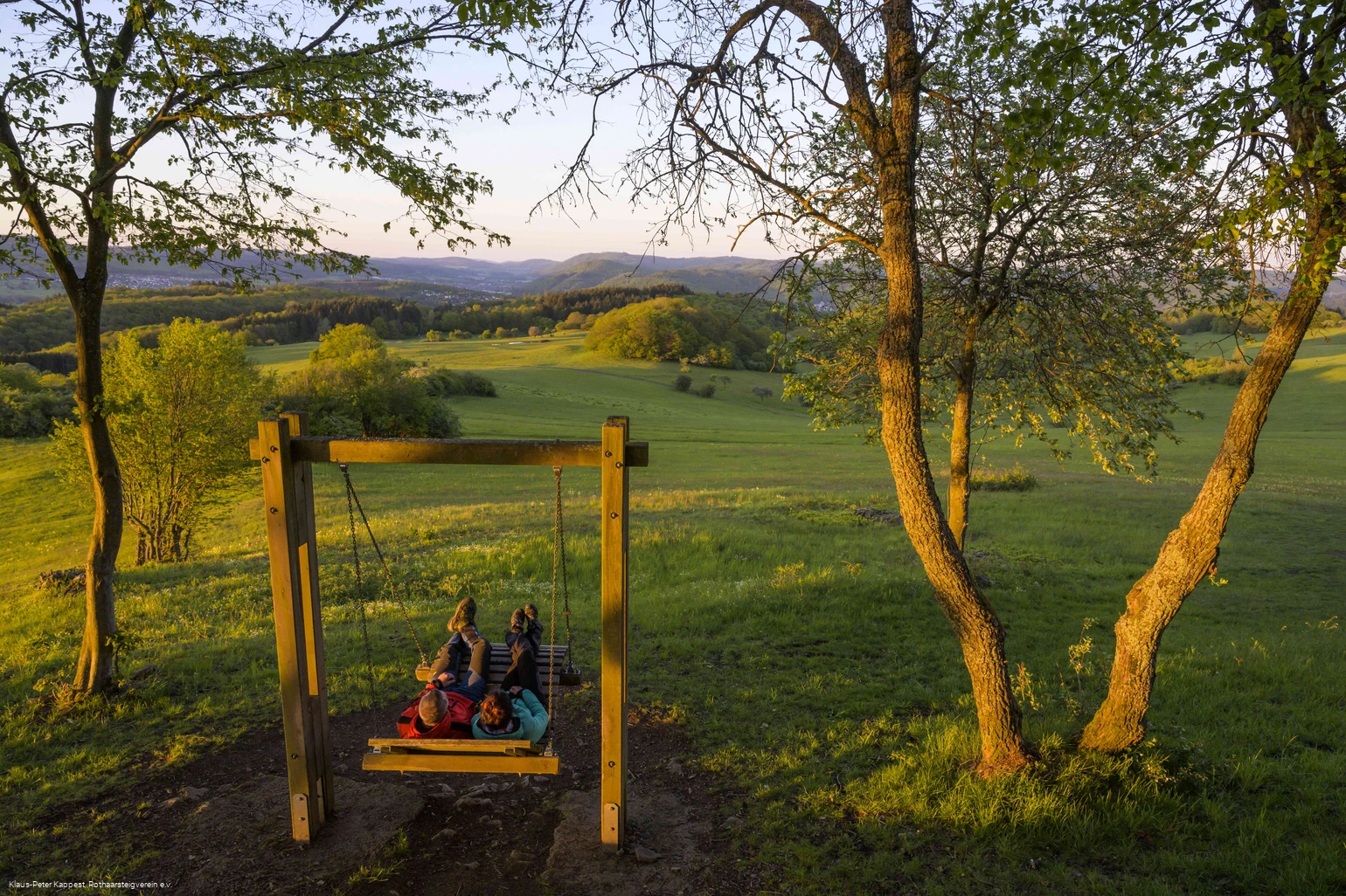 Waldschaukel auf dem Kornberg