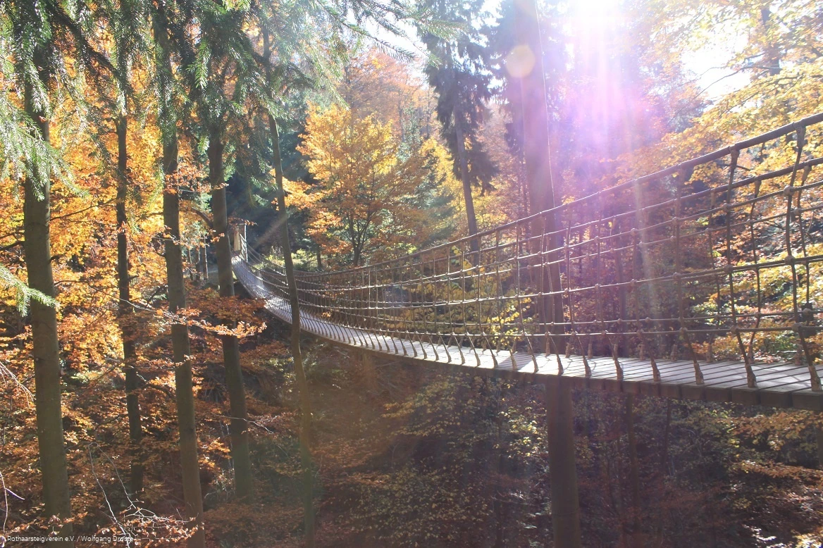 Hängebrücke am Rothaarsteig im Herbst