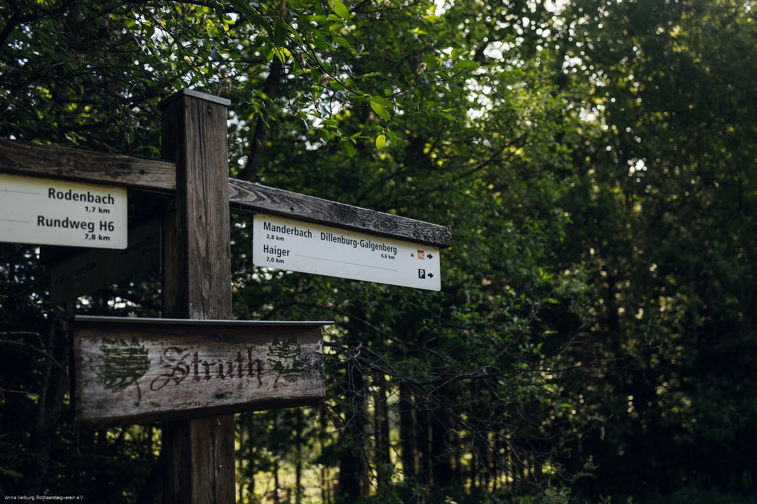 Rothaarsteig-Wegweiser "Auf der Struth"