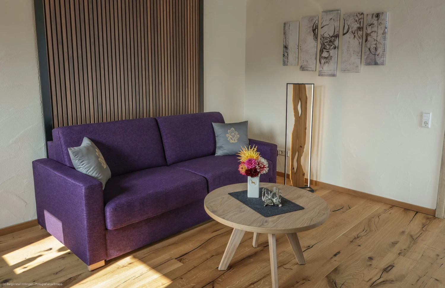 Bergluft - Bergkristall Willingen, Wohnzimmer Ferienwohnung am Rothaarsteig