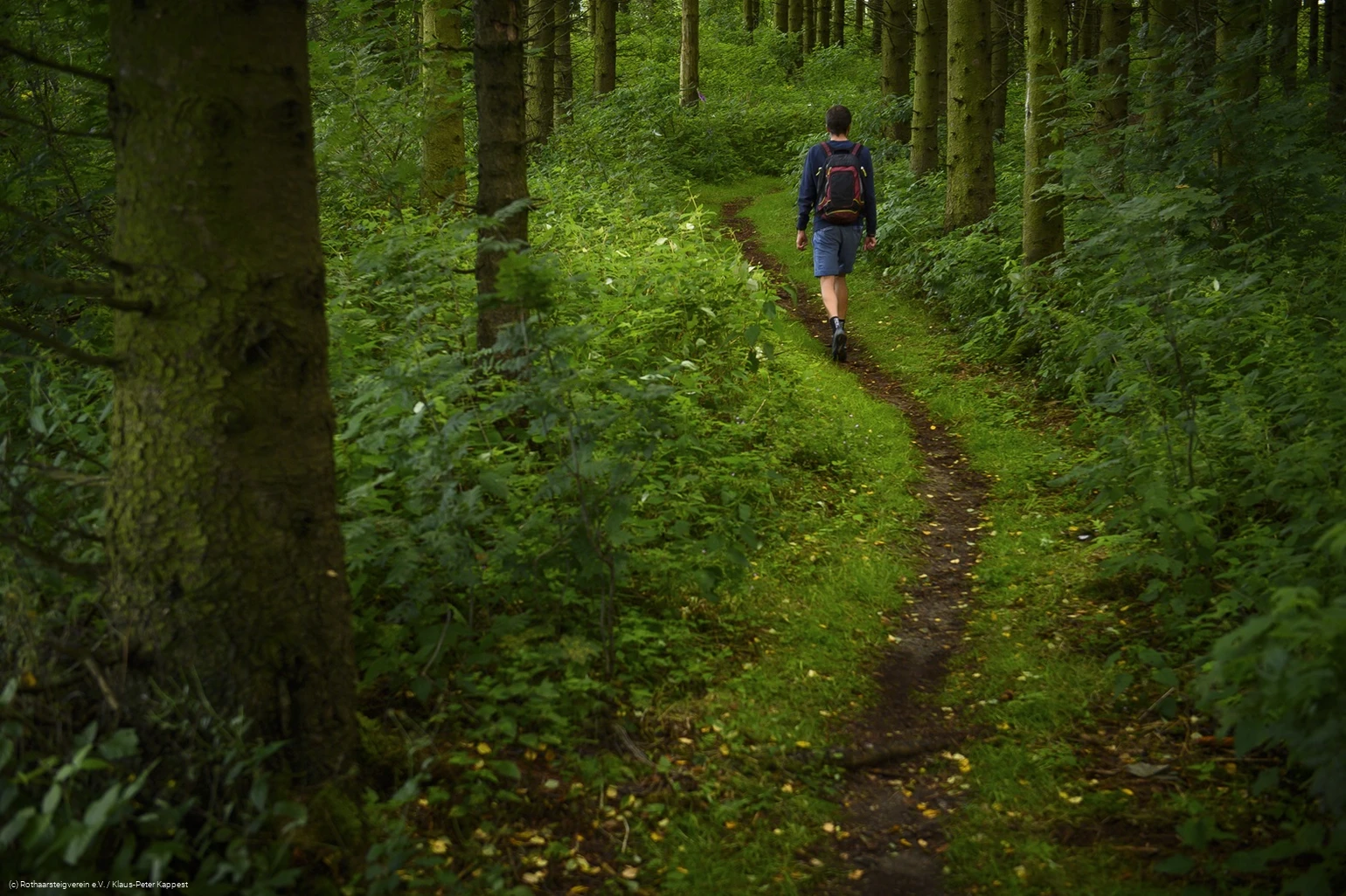 Groenebacher Dorfpfad