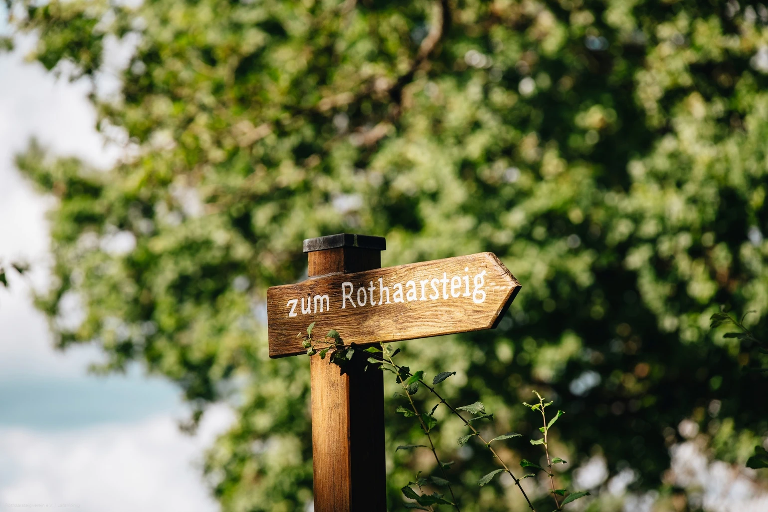 Holzschild mit der Aufschrift "Zum Rothaarsteig"