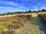 Weg auf dem Kahlen Pön