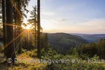 Aussicht am Rothaarsteig bei Jagdhaus