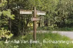 Rothaarsteig-Wegweiser auf dem Abschnitt Rodenbach - Dillenburg