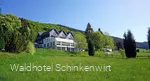 Außenansicht Waldhotel Schinkenwirt mit grüner Wiese im Vordergrund