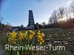Außenansicht Rhein-Weser-Turm mit Narzissen im Vordergrund