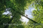 Hängebrücke am Rothaarsteig bei Kühhude