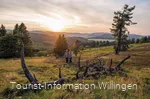 Zwei Wanderer in der Heide bei Willingen