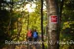 Rothaarsteig-Wegezeichen am Baum mit zwei Wandernden im Hintergrund