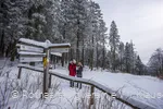 Winterwandern am Rothaarsteig