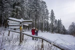 Winterwandern am Rothaarsteig
