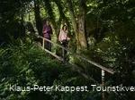 Pfad auf dem Ilsetalpfad