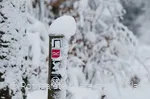 Verschneites Wegezeichen am Rothaarsteig