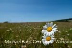 Gernsdorfer Höhentour