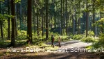 Wandern auf dem Kahlen Asten Steig