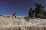 Winterwandern am Rothaarsteig