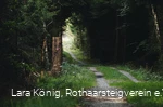 Durch den grünen Wald verlaufenden Rothaarsteig