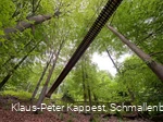 Hängebrücke am Rothaarsteig
