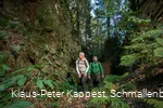 Entlang traumhafter Pfade auf dem Weg vom Kahlen Asten nach Westfeld