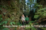 Entlang traumhafter Pfade auf dem Weg vom Kahlen Asten nach Westfeld