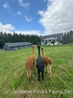 Landhotel Flora & Fauna