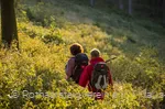 Wanderer auf dem Rothaarsteig