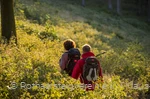 Wanderer auf dem Rothaarsteig