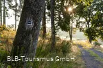 Wisent-Pfad