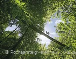 Hängebrücke am Rothaarsteig bei Kühhude