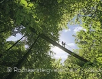 Hängebrücke am Rothaarsteig bei Kühhude