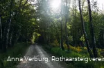 Rothaarsteig bei Rodenbach