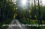 Rothaarsteig bei Rodenbach